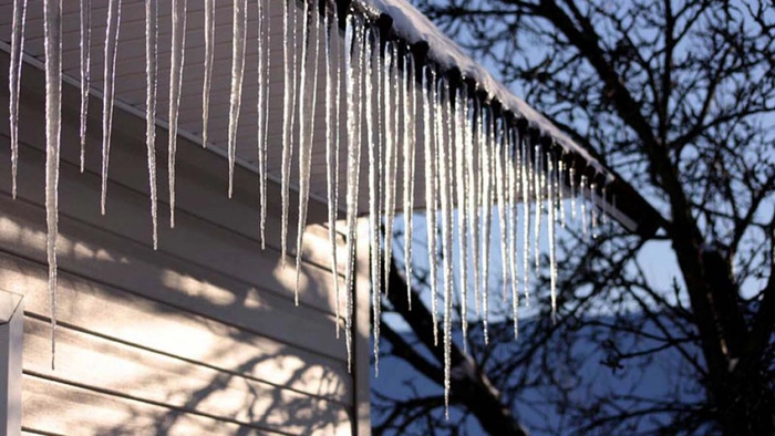 o imagine cu turturii