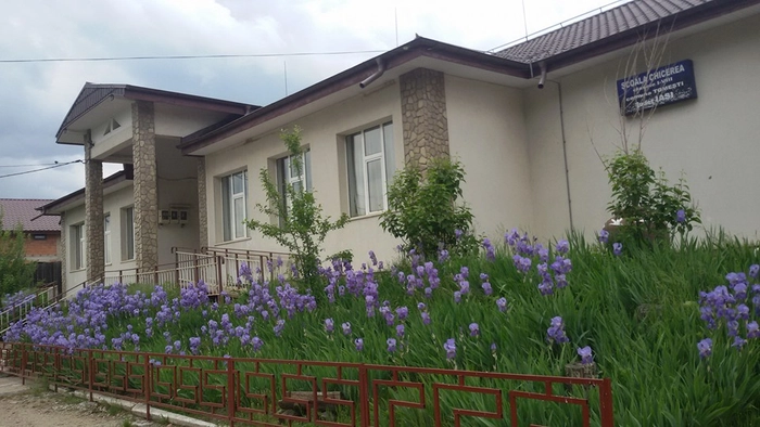 Şcoala Gimnazială Chicerea