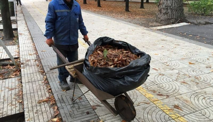 o persoana de gen masculin impinge o roaba cu frunze pe un drum cu pavele si copaci in plan secund