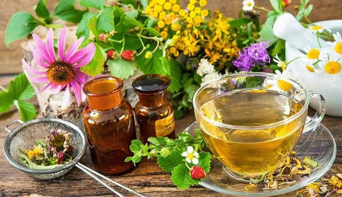 o cana de ceai langa mai multe plante medicinale si recipiente cu leacuri