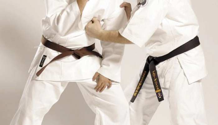 Imagine reprezentativa Karate