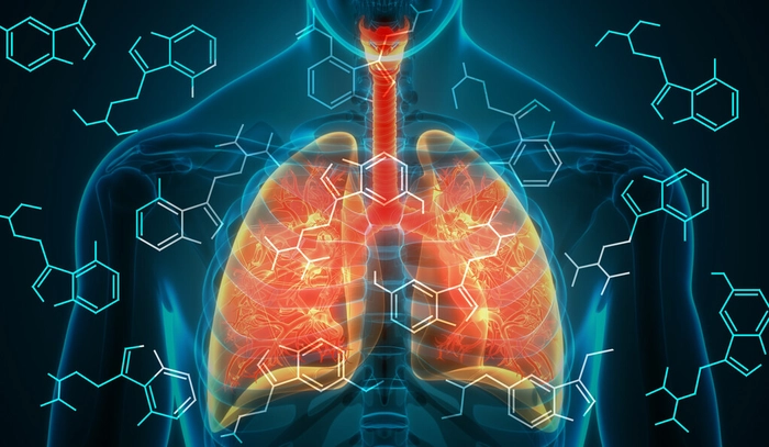 plamani inflamati