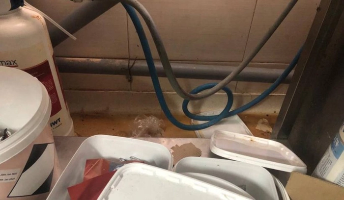 conditii deplorabile din restaurantele de pe litoralul romanesc