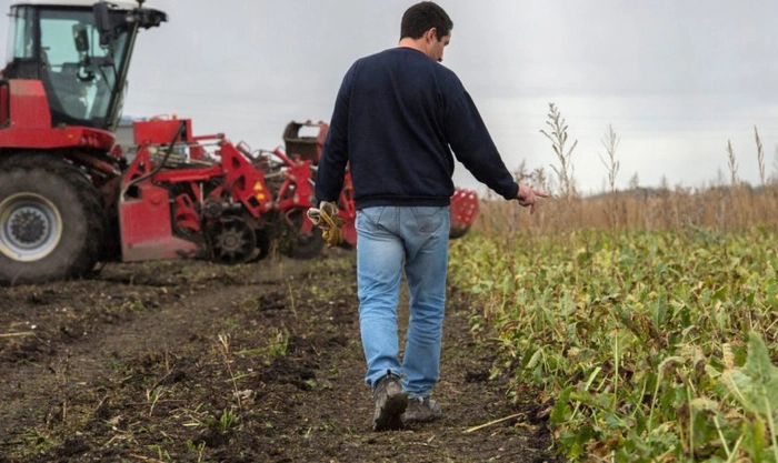 asigurarea stocurilor necesare pieței interne, fermier ce studiaza plantatia, combina