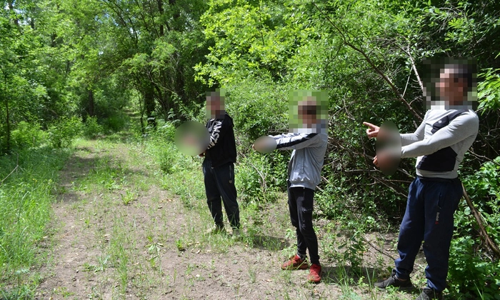  3 indivizi cu mainile in fata, in padure