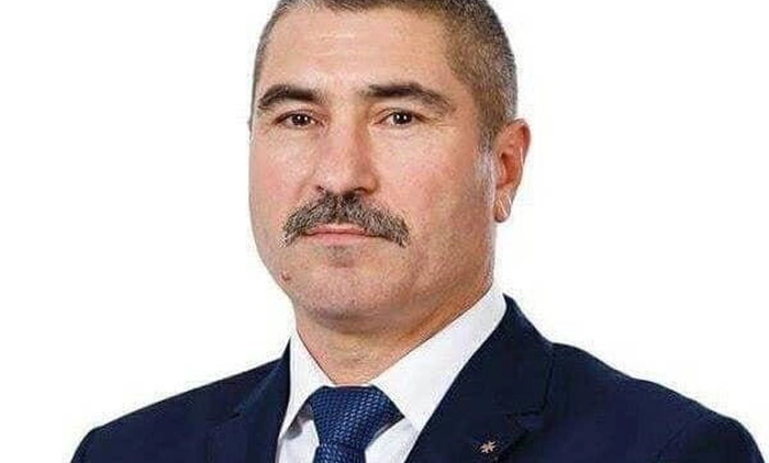 Vasile Catea deputat PSD