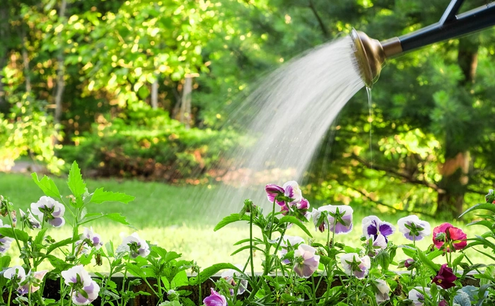  furtun uda o gradina de flori
