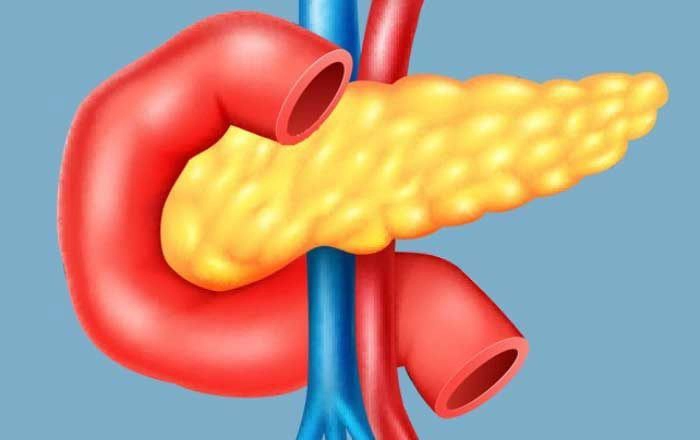 grafica prezentare anatomica a pancreasului