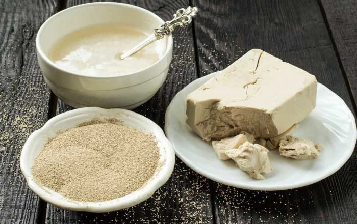 drojdie de bere inactivă uscată și proaspătă