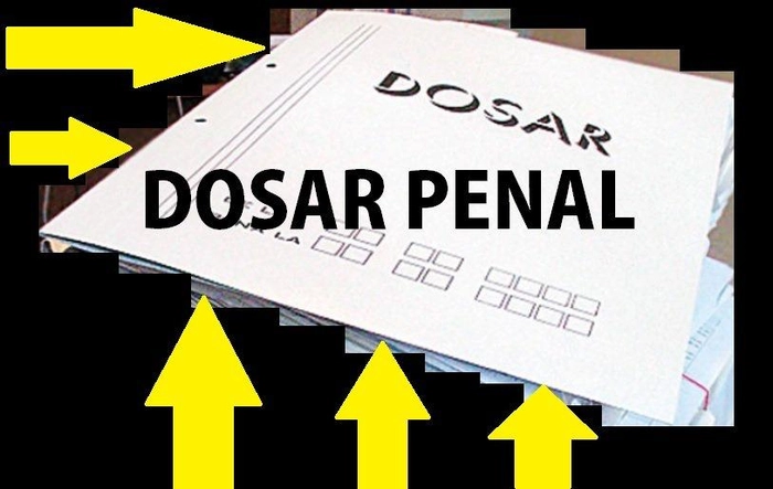 grafica dosar penal