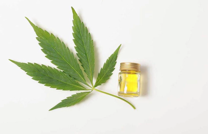 un recipient cu ulei de canepa langa planta