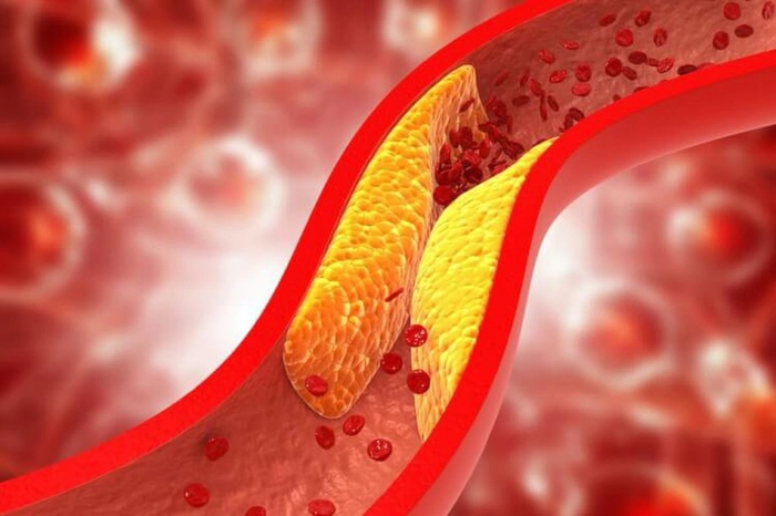 grafica acid alfa lipoic