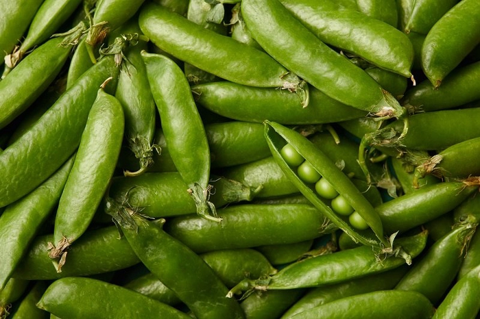 mai multe pastai de fasole verde
