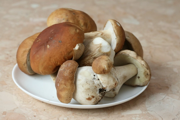 o farfurie cu mai multe ciuperci pe o masa