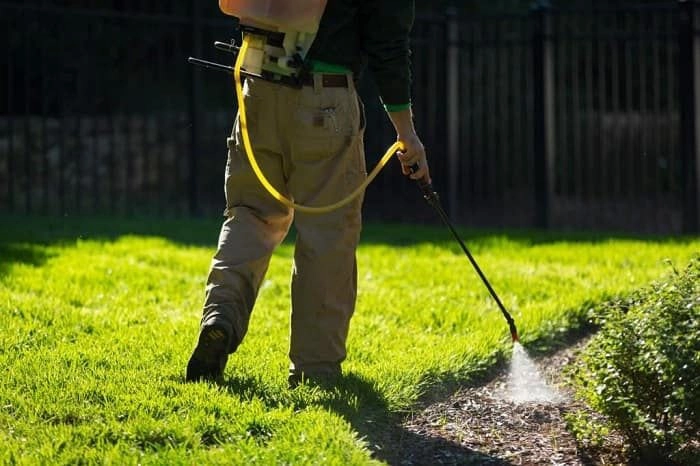 persoana care stropeste cu erbicid plantele