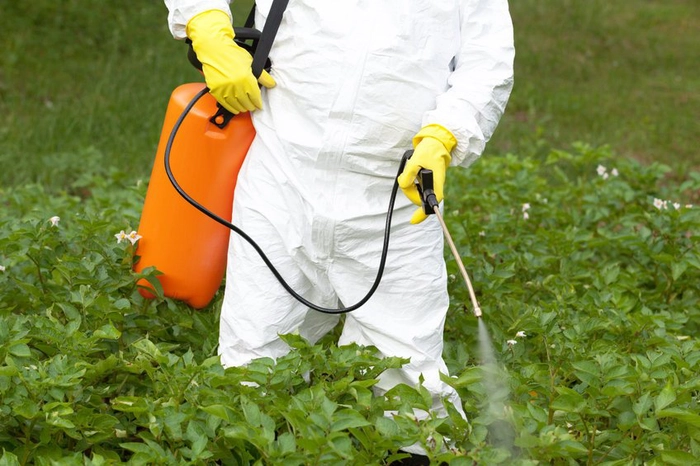 persoana care tine in mana un pulverizator si stropeste plantele cu insecticid