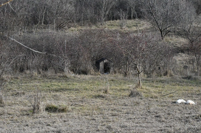 o poză cu o zonă din comuna ieșeană Rediu