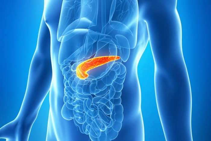 grafica pancreas