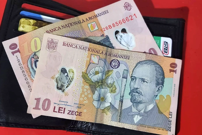 Un portofel deschis, cu doua bancnote a cate 10 lei asezate pe el si cu cateva carduri, in plan secund
