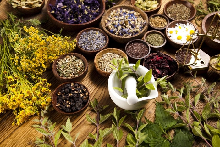 boluri cu plante medicinale