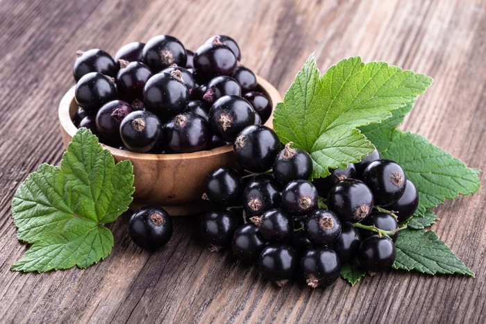 coacaze negre intr-un cosulet