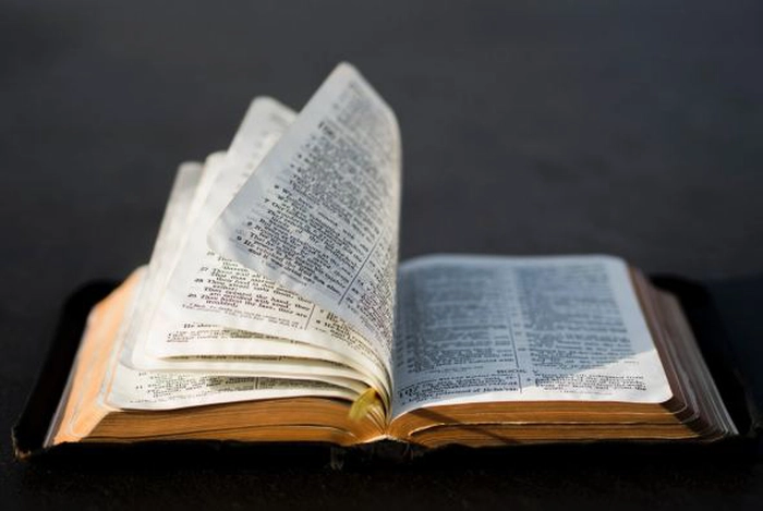 biblie