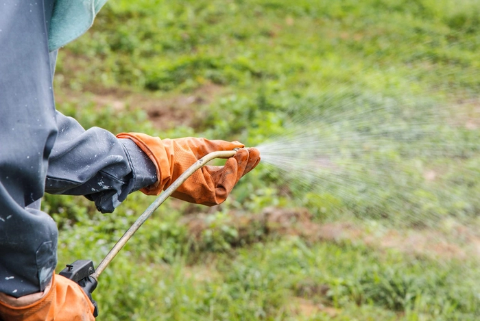 persoana care pulverizeaza cu erbicid