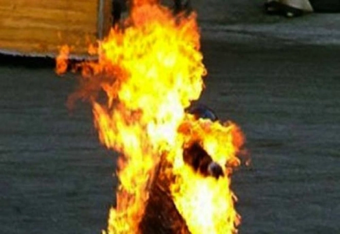 Foc