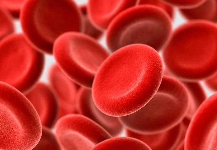 grafica particole de sange la nivel microscopic