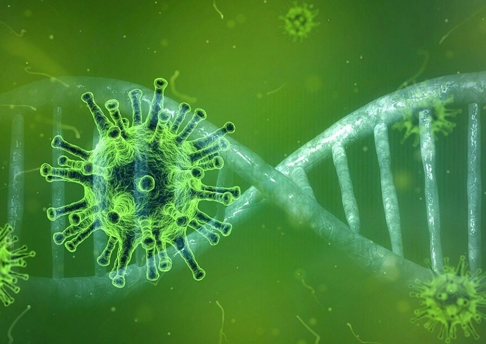 tulpina de coronavirus