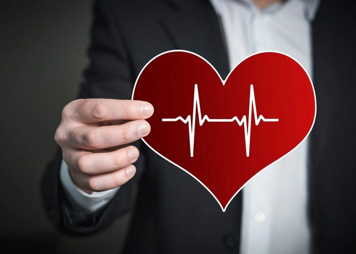 persoana care tine un carton in mana in forma unei inimi ce pulseaza