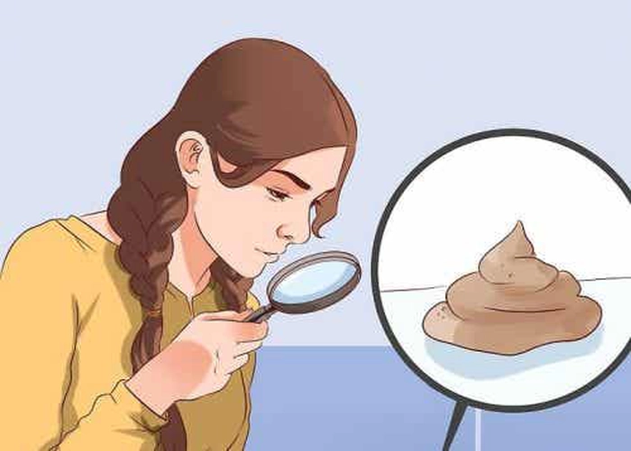 grafica colaj femeie care analizeaza fecalele cu o lupa