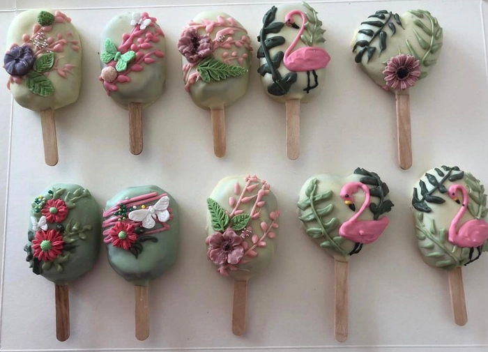  cakesicles pe fundal alb