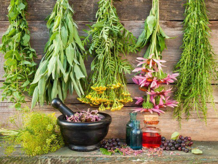 mai multe plante medicinale