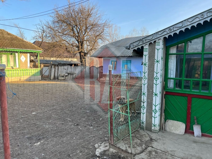 o poza cu locuințele familiei Pașcu