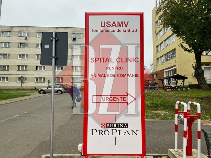 intrarea la Spitalul Clinic de Urgență al USV Iași
