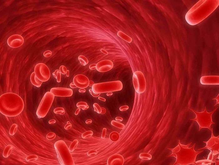 trombocite la nivelul microscopului