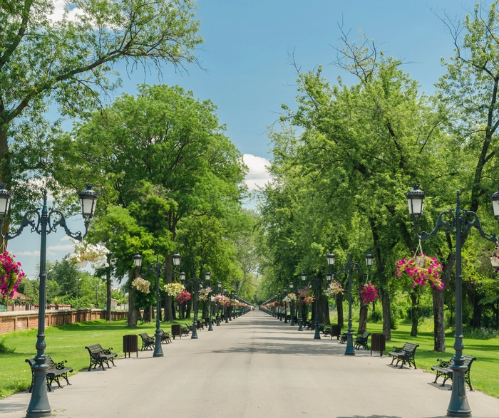  o poză cu un parc