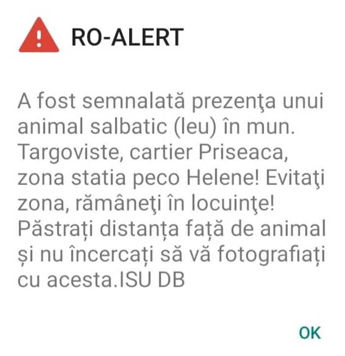 Un leu umblă liber, mesaj ro-alert