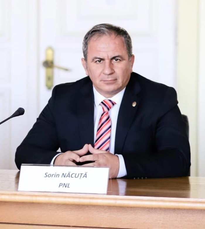 Vasile Catea deputat PSD