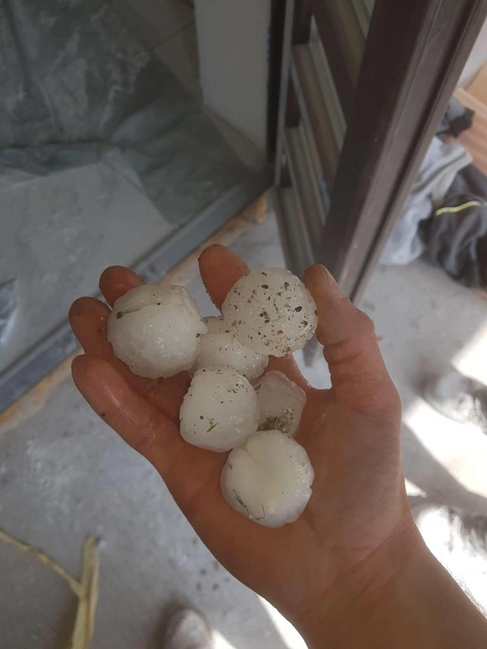 mana unaei persoane ce tine grindina in palma