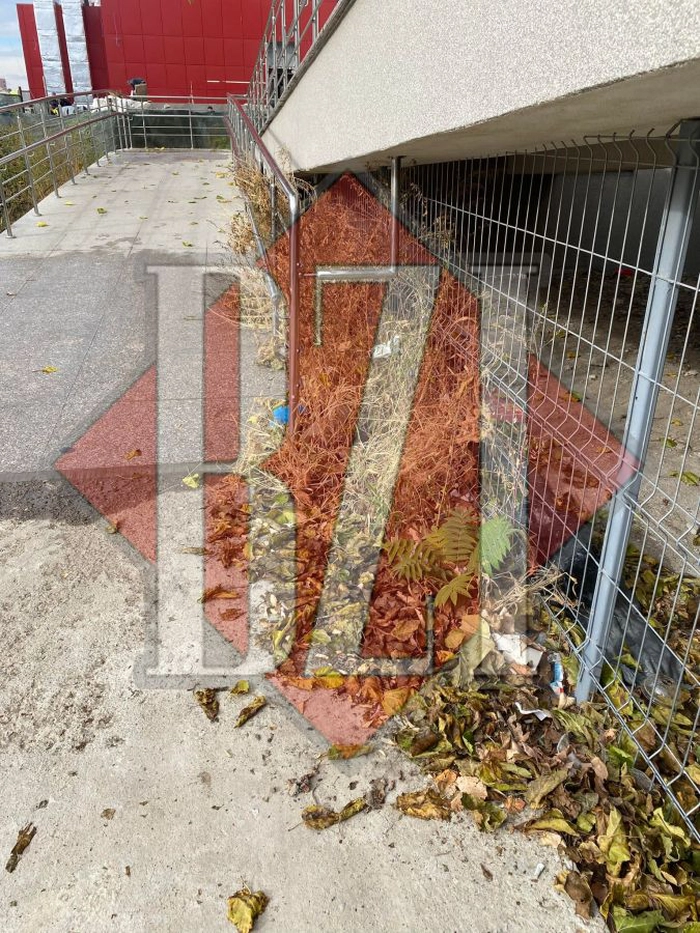 poze cu mizeria de la Spitalul „Sf. Maria” din Iași