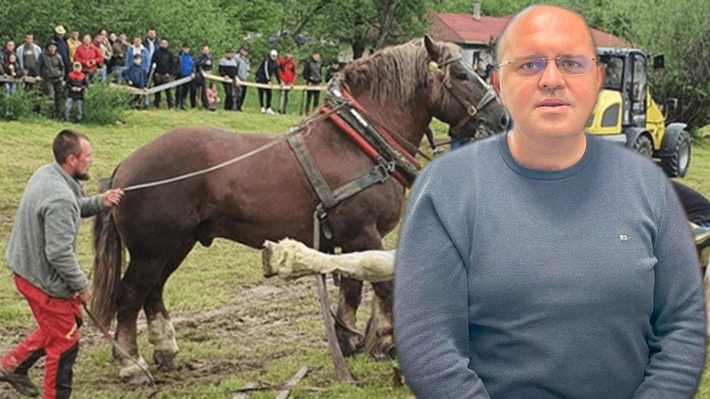 Moartea calului Falko zguduie opinia publică. Cazul a fost analizat de specialiștii DSVSA Iași. Dr. Cosmin Radu: „Proprietarul l-a suprasolicitat. Totul, pentru a câștiga acel concurs”