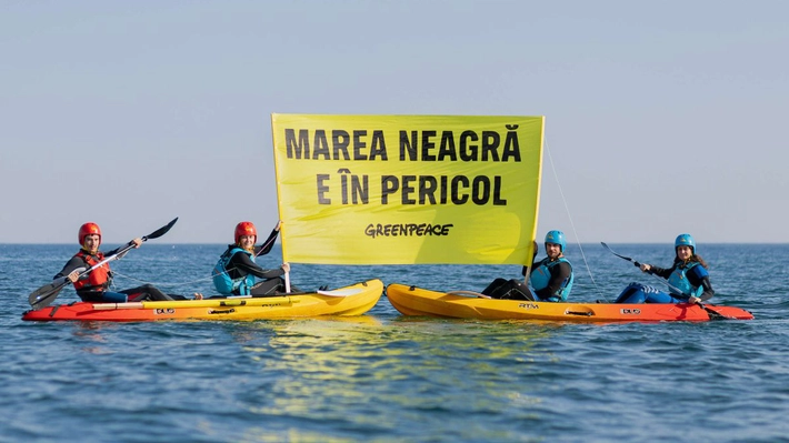 ROMGAZ a luat decizia de a solicita în instanță dizolvarea fundaţiei Greenpeace