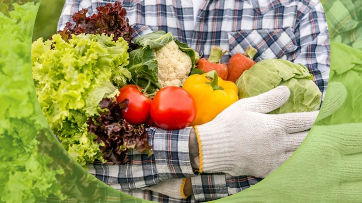 Bani pentru investiții în sectorul legume și cartofi. Ce condiții trebuie să îndeplinească fermierii din Iași