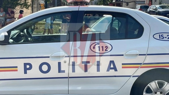 Interzis în România! Proprietarii riscă amenzi de 3.000 de lei dacă nu au aviz pentru adăposturi de animale