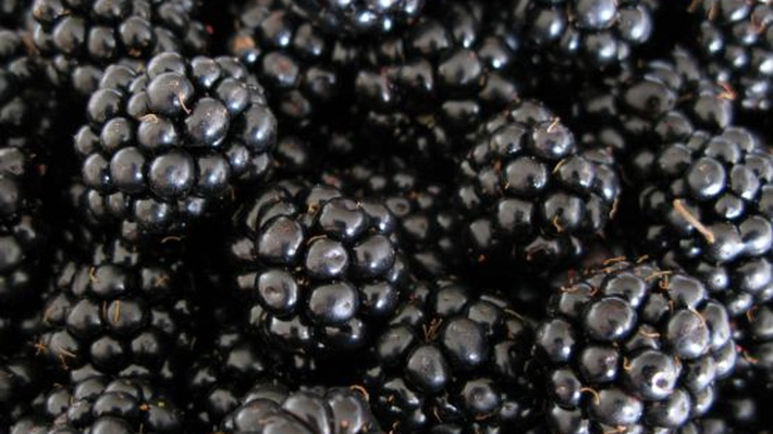 Mure, la preț de caviar! Cât a ajuns să coste un kilogram