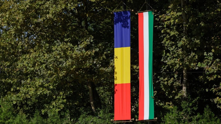România, cumpărată bucată cu bucată de Ungaria! Napolact, mândria lactatelor românești, vândută de FrieslandCampina grupului maghiar Bonafarm