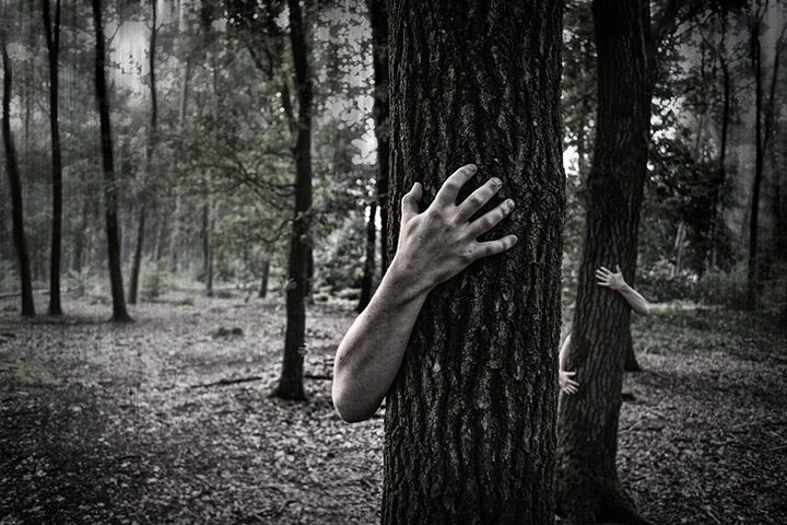 o mână pe un copac