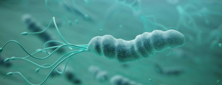 helicobacter pylori bacterie la stomac